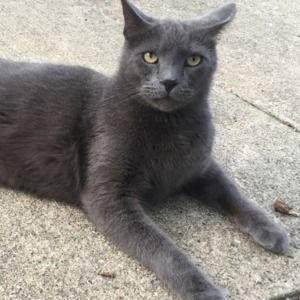 Meet your Posher, Christine